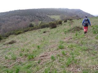 Por los mayaos de Vatchosera