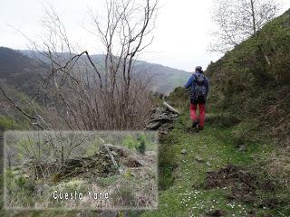 Por los mayaos de Vatchosera