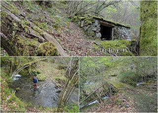 Por los mayaos de Vatchosera