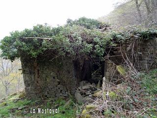 Por los mayaos de Vatchosera