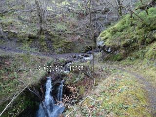 Por los mayaos de Vatchosera