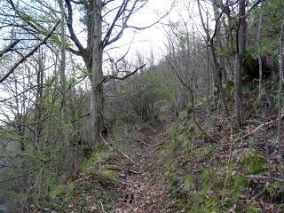 Por los mayaos de Vatchosera