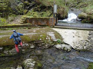 Por los mayaos de Vatchosera