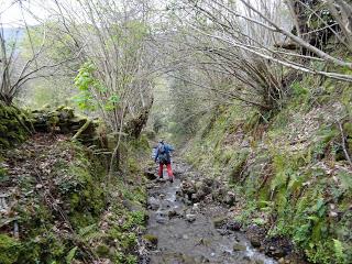 Por los mayaos de Vatchosera