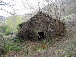 Por los mayaos de Vatchosera