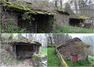 Por los mayaos de Vatchosera