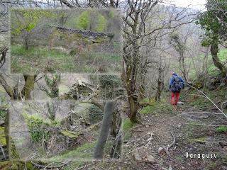 Por los mayaos de Vatchosera