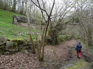 Por los mayaos de Vatchosera