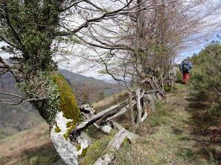 Por los mayaos de Vatchosera