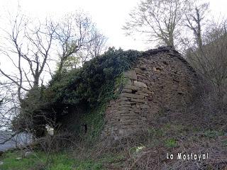 Por los mayaos de Vatchosera