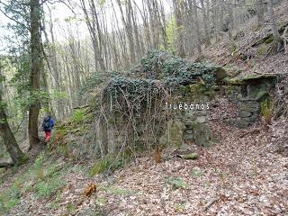 Por los mayaos de Vatchosera