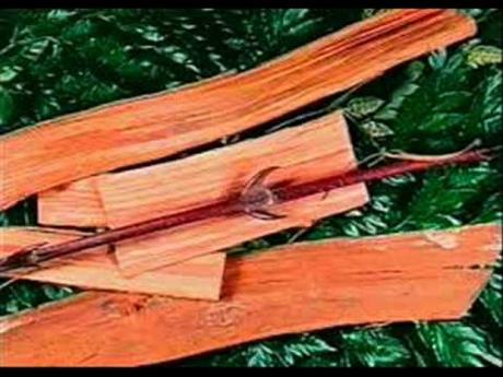 HIERBAS DESINFLAMANTES