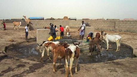 imovilizate04052016 imovilizate04052016