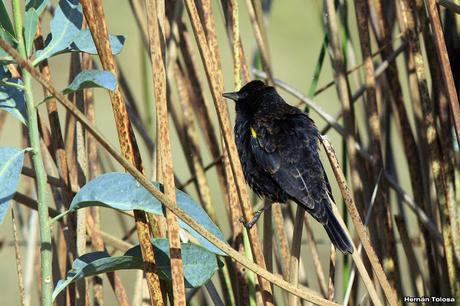 Salida por campos de Cañuelas ( 1 de mayo de  2016)