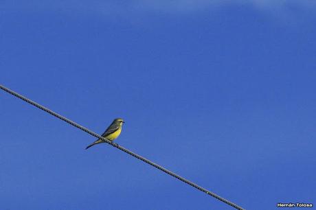 Salida por campos de Cañuelas ( 1 de mayo de  2016)