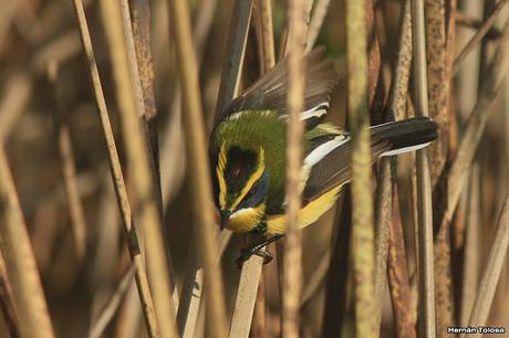 Salida por campos de Cañuelas ( 1 de mayo de  2016)