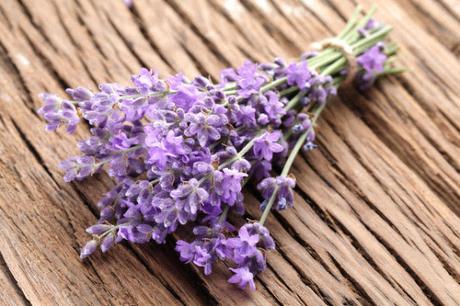 El parque de los olores........