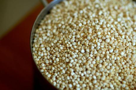 Quinoa Quinoa-pseudocereal