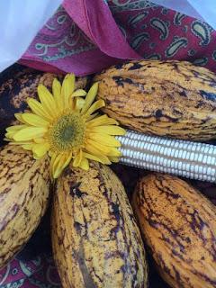 Ceremonia de Cacao Apertura del Corazón y Conexión con el cielo y la tierra