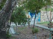 Bajo Árbol Ociosidad. extraído "LOS ÁRBOLES INVISIBLES"