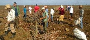 delegado-agricultura-cangre