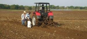 tractor-arando-tierras
