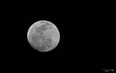 [Reedición] La Luna, 45 años después