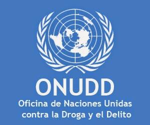 La ONU retrocede ante los carteles de las drogas