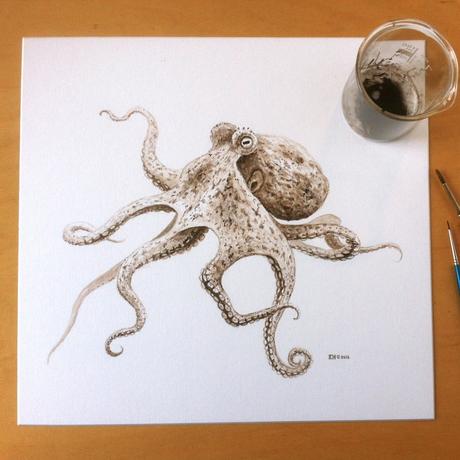 Octopus_01