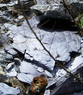 Consideraciones previas a la réplica de los vasos campaniformes del Acebuchal