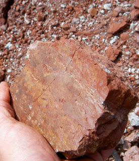Consideraciones previas a la réplica de los vasos campaniformes del Acebuchal