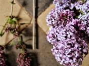 ideas fáciles: arreglos florales para decorar lilas