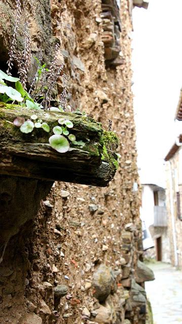 Casas de piedra y Adobe