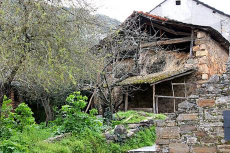 Lombillo de los Barrios 