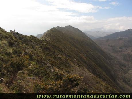 Matorral en Sierra