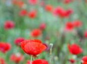 ¡Vuelven Favoritos Mes! (Abril)