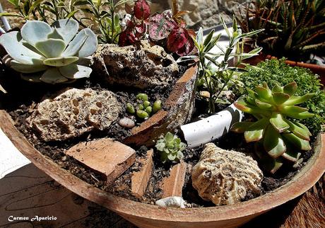 Reciclar macetas rotas