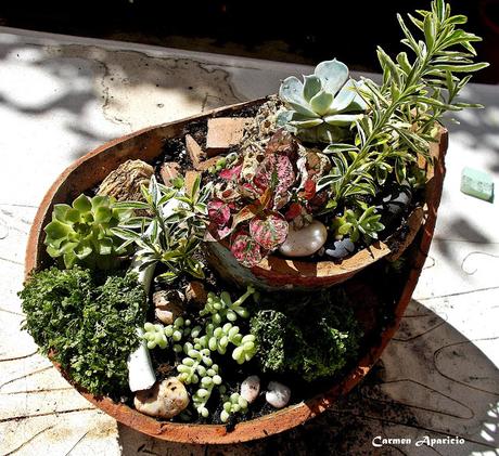 Reciclar macetas rotas