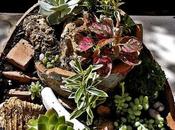 Reciclar macetas rotas