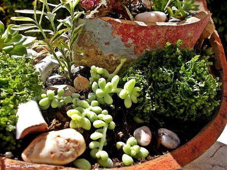 Reciclar macetas rotas