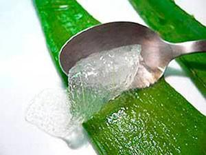 Aloe Vera para la Piel Seca aloe vera piel seca