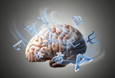 LOS IDIOMAS ENTRENAN EL CEREBRO