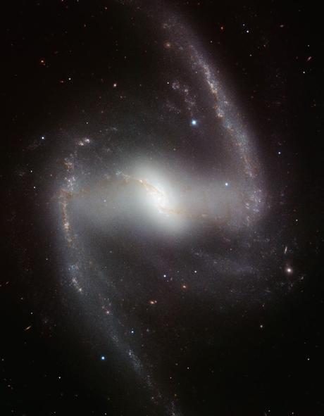 Galaxia espiral barrada NGC 1365