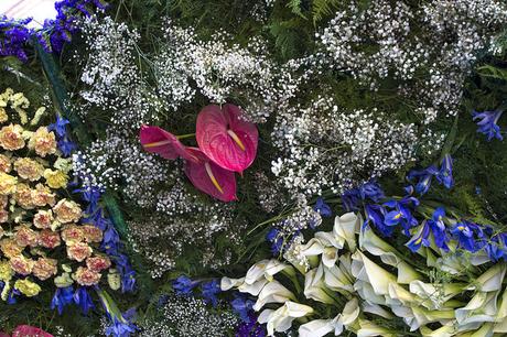 Fiesta de la Primavera