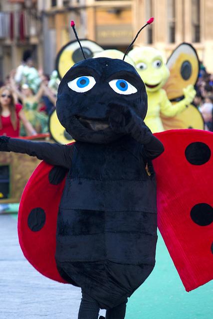 Fiesta de la Primavera, Murcia