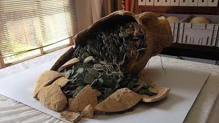 Nuevos tesoros encontrados