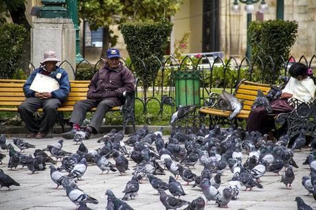 La Paz, qué cambiada estás!