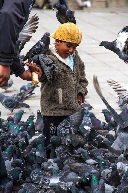 La Paz, qué cambiada estás!