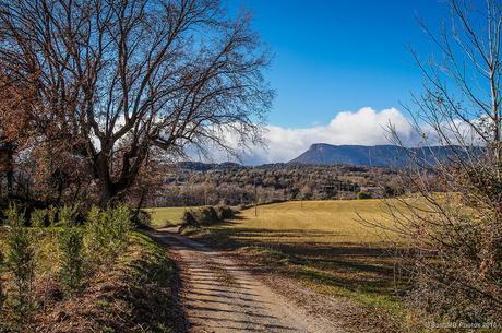 Camino a Cal Bep Vell