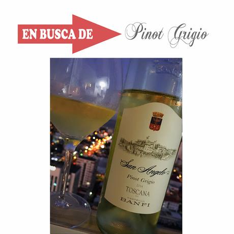 EN BUSCA DE: Pinot Grigio